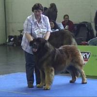 Salzburg Clubschau Mai 06 093 